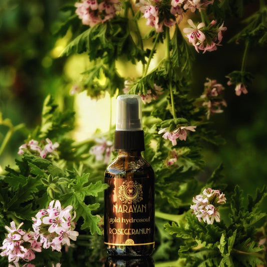 Rose Geranium~Gold Hydrosoul