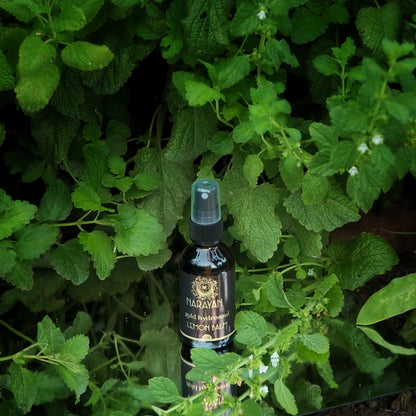 Lemon Balm ~ Gold Hydrosoul