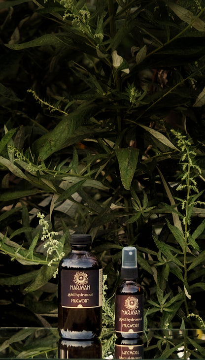 Mugwort ~ Gold Hydrosoul