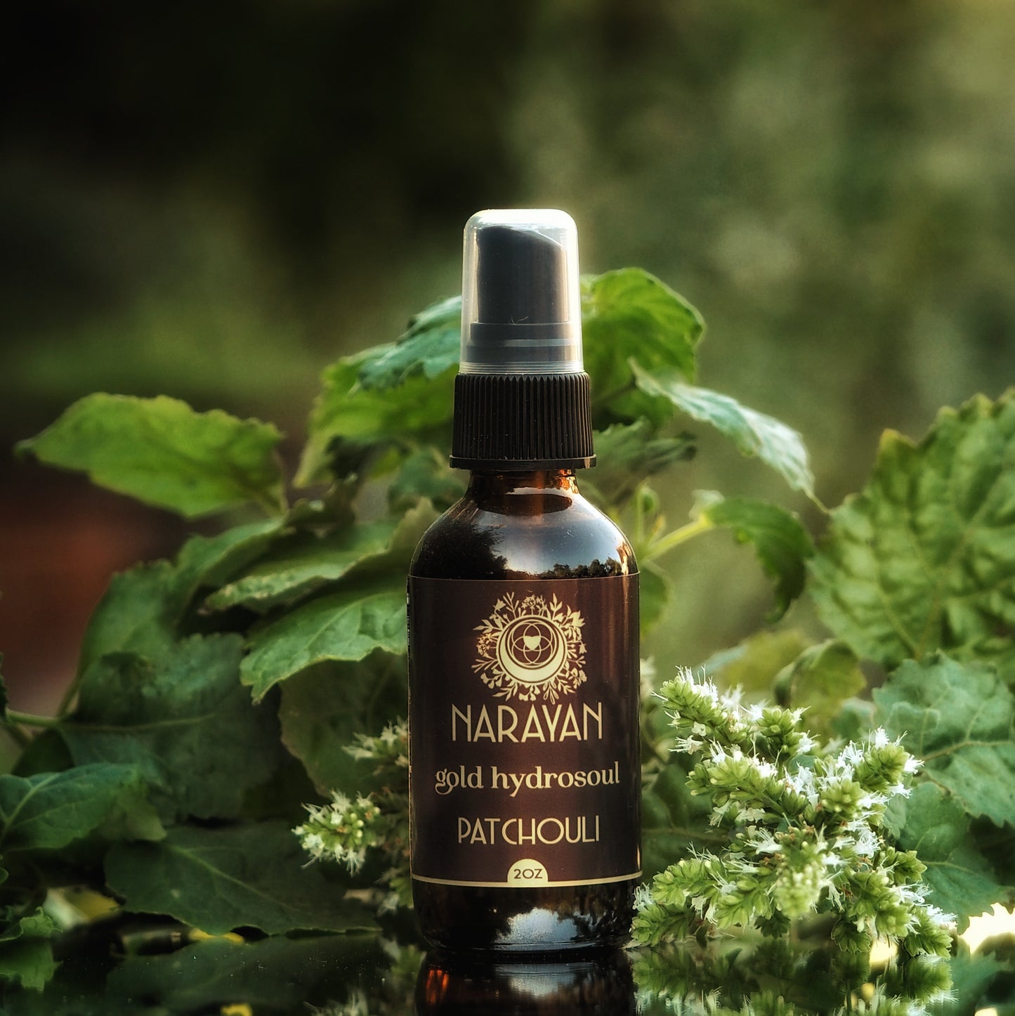 Patchouli ~ Gold Hydrosoul