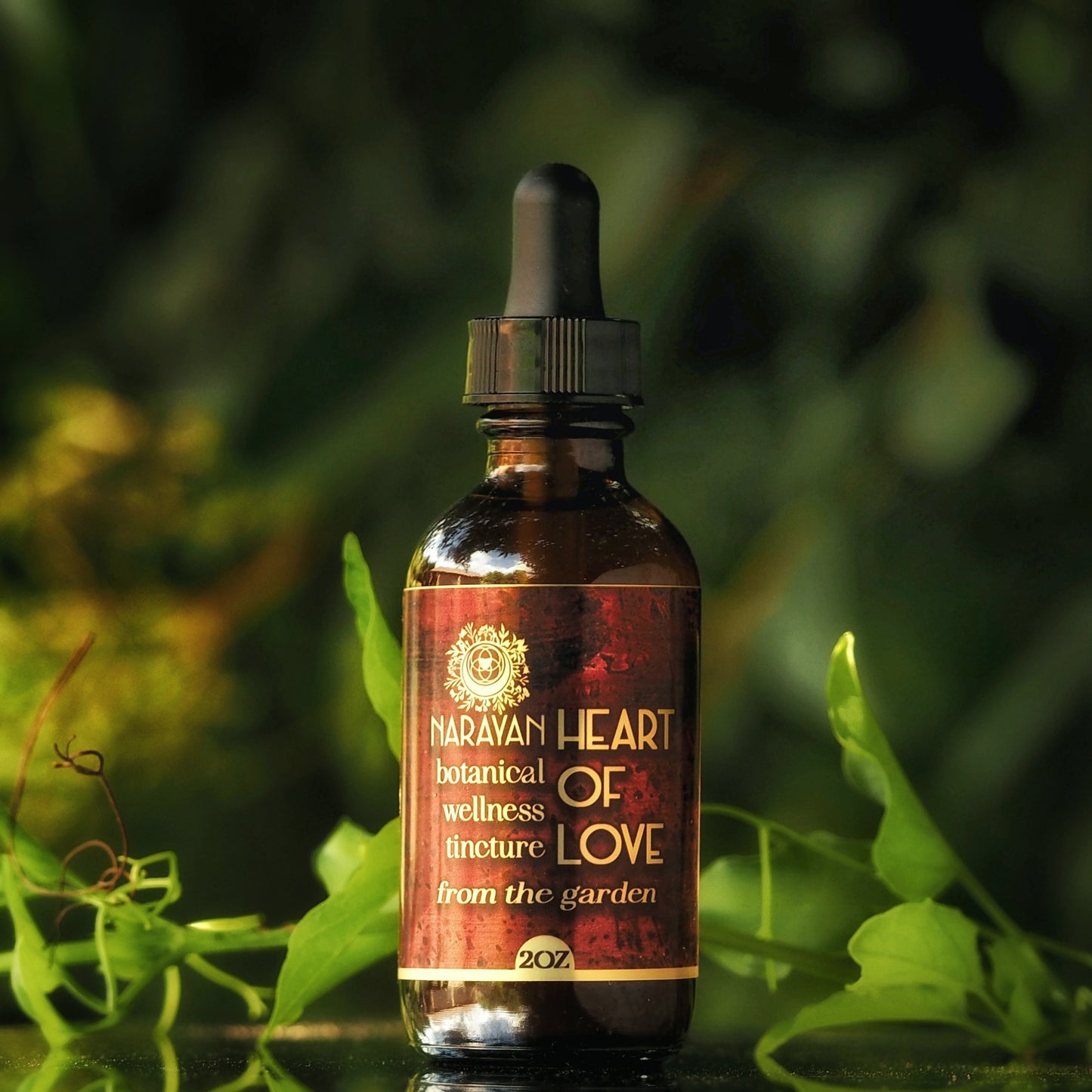 Heart Of Love ~ Herbal Tincture